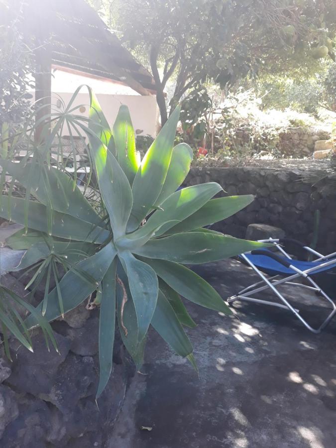 Stromboliparadise Piscita Dış mekan fotoğraf