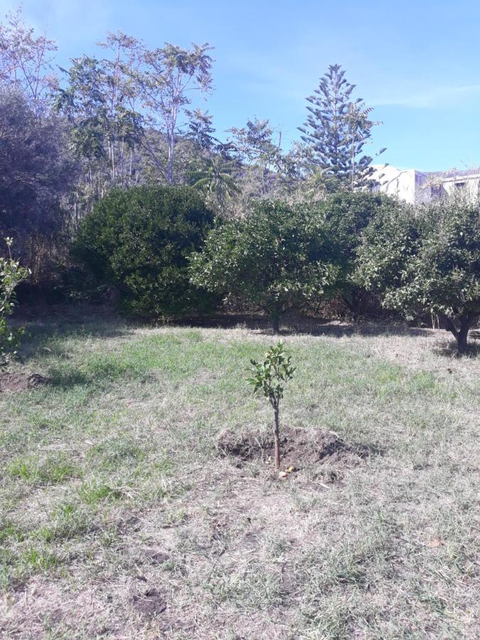 Stromboliparadise Piscita Dış mekan fotoğraf