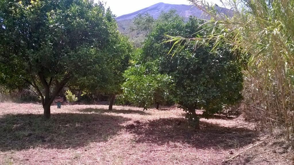 Stromboliparadise Piscita Dış mekan fotoğraf