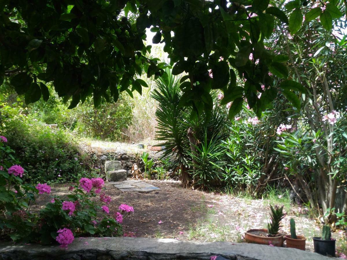 Stromboliparadise Piscita Dış mekan fotoğraf